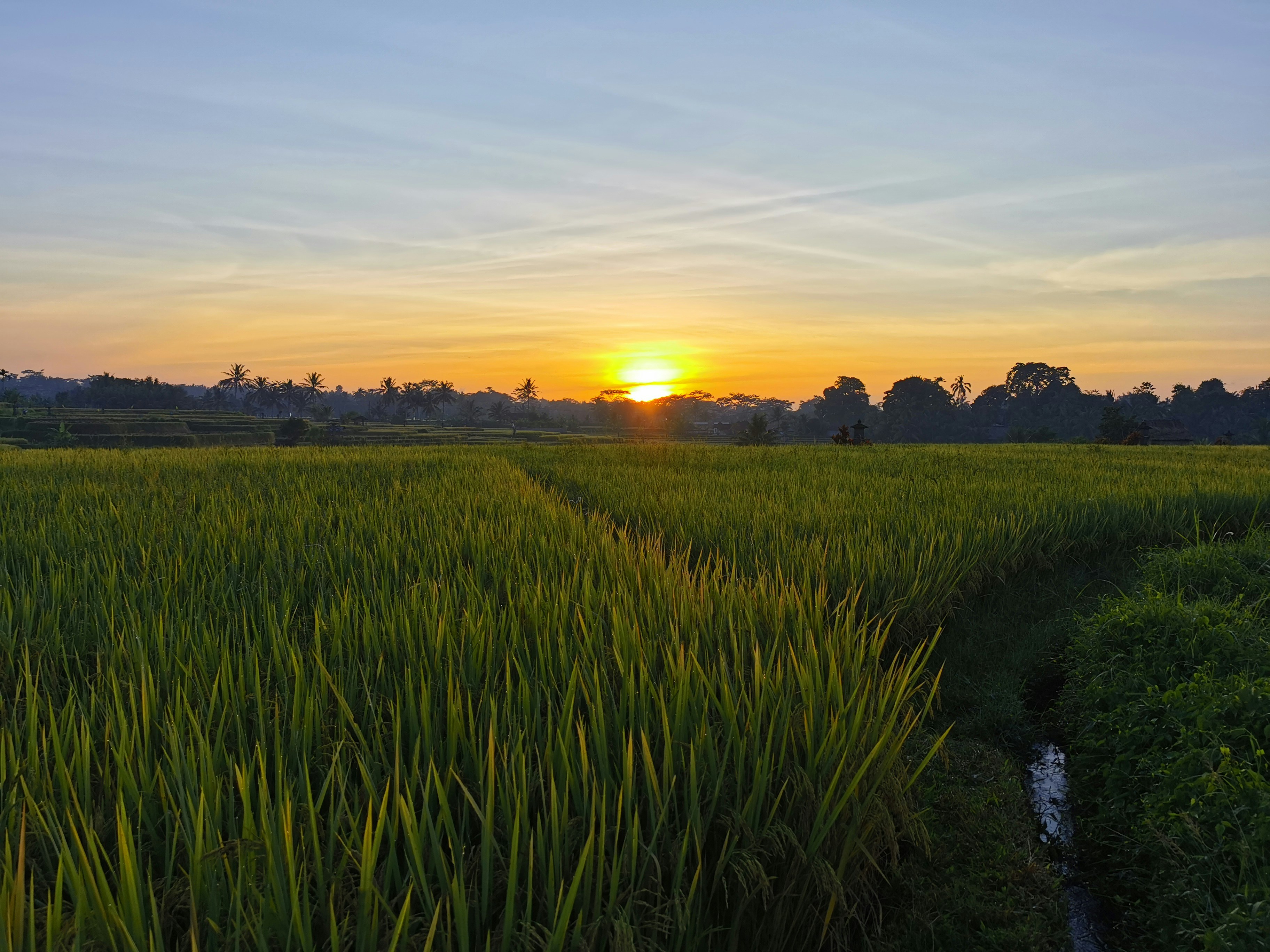 Sunset over agricultural fields