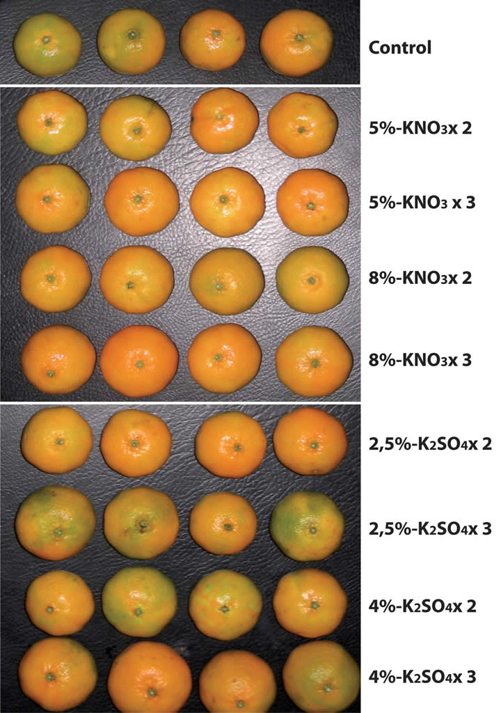 Response of Clementine Citrus var. Cadoux to Foliar Potassium